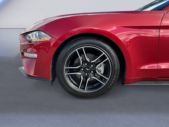 2022 Ford Mustang EcoBoost