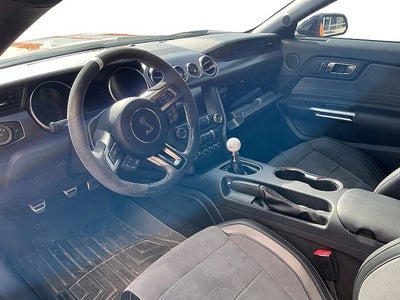 2019 Ford Mustang Shelby GT350 Fastback