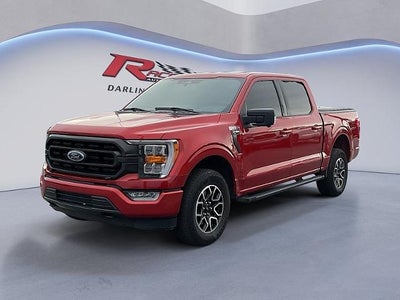 2023 Ford F-150 XL 4WD SuperCrew 5.5' Box