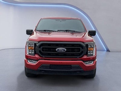 2023 Ford F-150 XL 4WD SuperCrew 5.5' Box