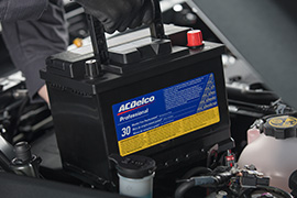 PROFESSIONAL SILVER BATTERY